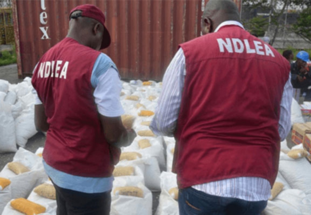 NDLEA Busts Lethal Drug Syndicate, Arrests Members In Anambra