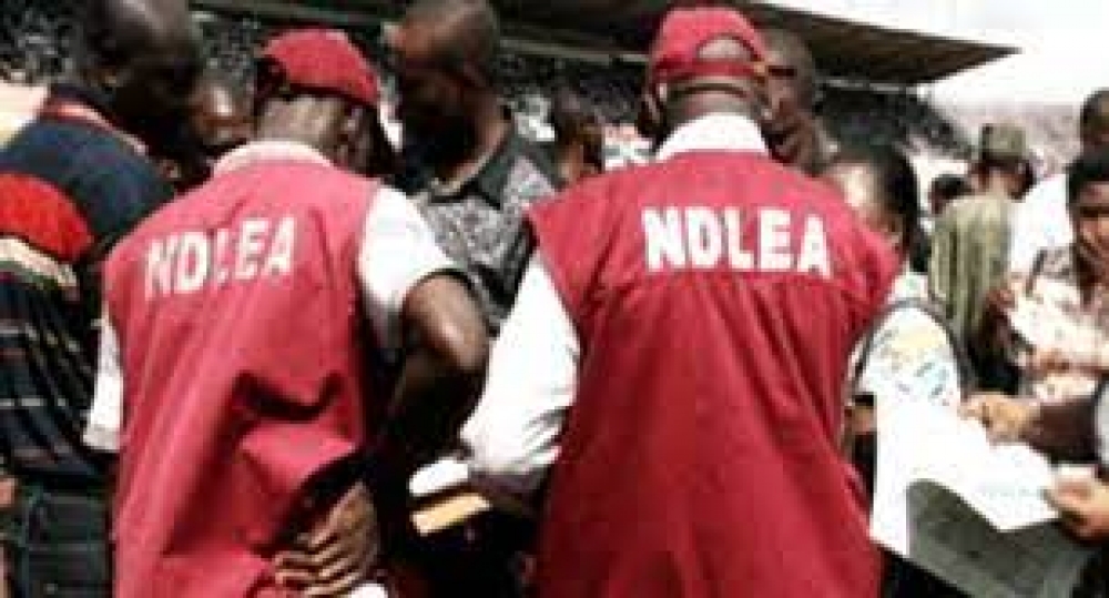 NDLEA Arrests Abia Drug Kingpin